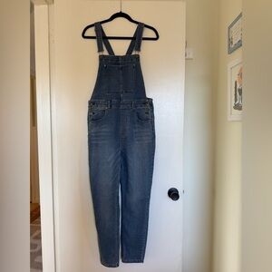 Free People Blue Denim Overalls